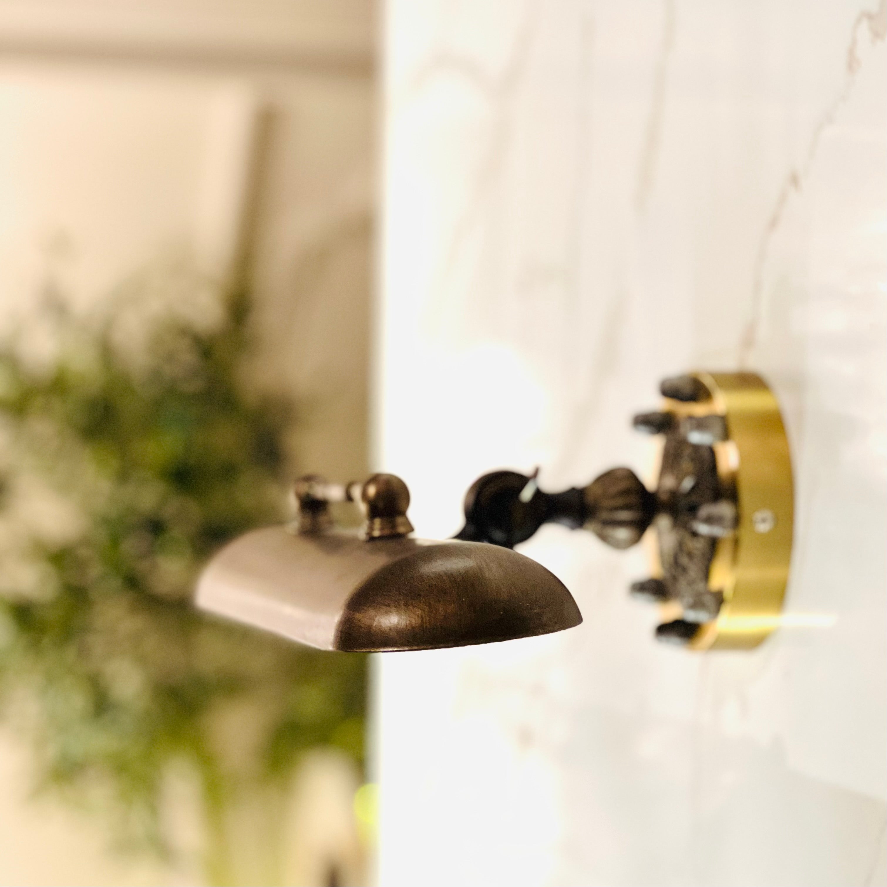 Nemo Picture Light Large