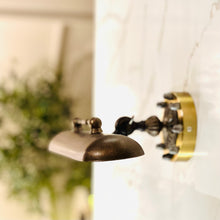 Nemo Picture Light Large